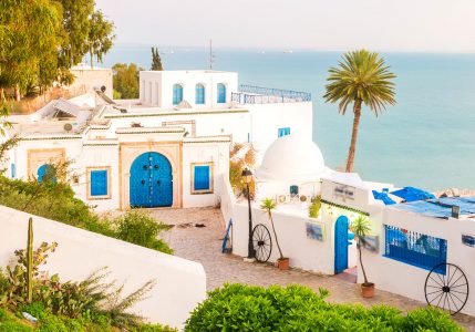 Sidi Bou Said Jigsaw Puzzle