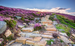 Simonside Hills