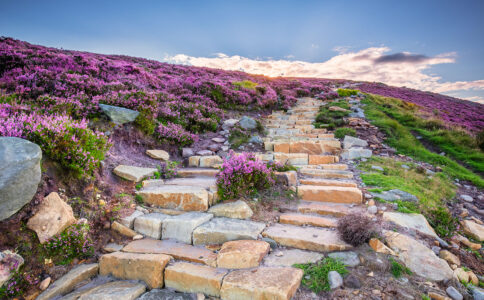 Simonside Hills Jigsaw Puzzle