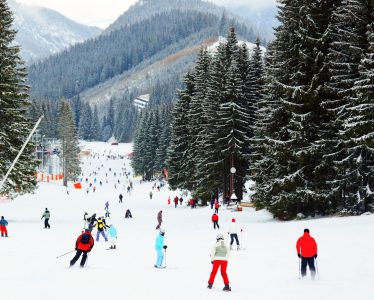 Skiing Jigsaw Puzzle