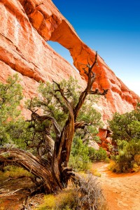 Skyline Arch Jigsaw Puzzle