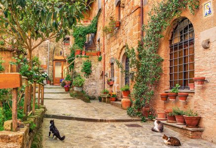 Sleepy Street Jigsaw Puzzle