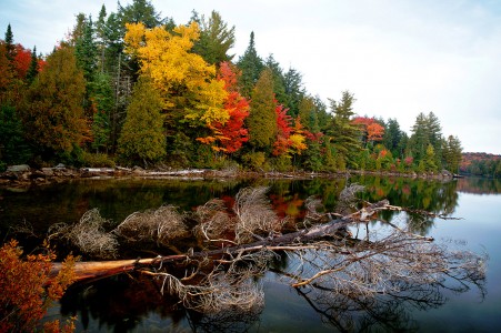 Smoke Lake Jigsaw Puzzle