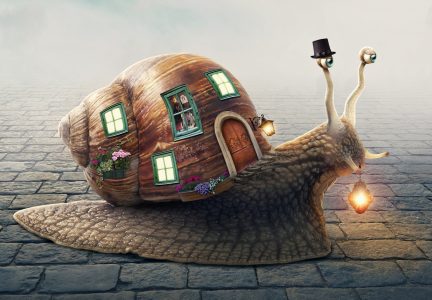 Snail Home Jigsaw Puzzle