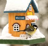 Snowy Birdhouse
