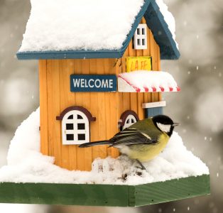 Snowy Birdhouse Jigsaw Puzzle