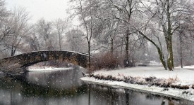 Snowy Bridge