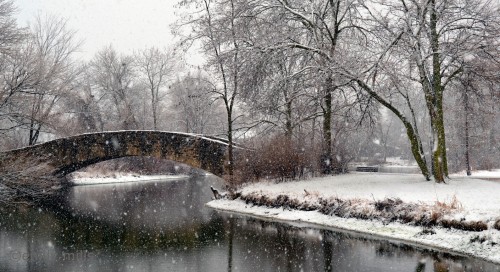 Snowy Bridge Jigsaw Puzzle