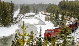 Snowy River Train