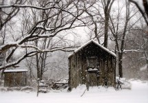 Snowy Shed