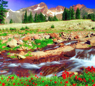 Soda Creek Jigsaw Puzzle