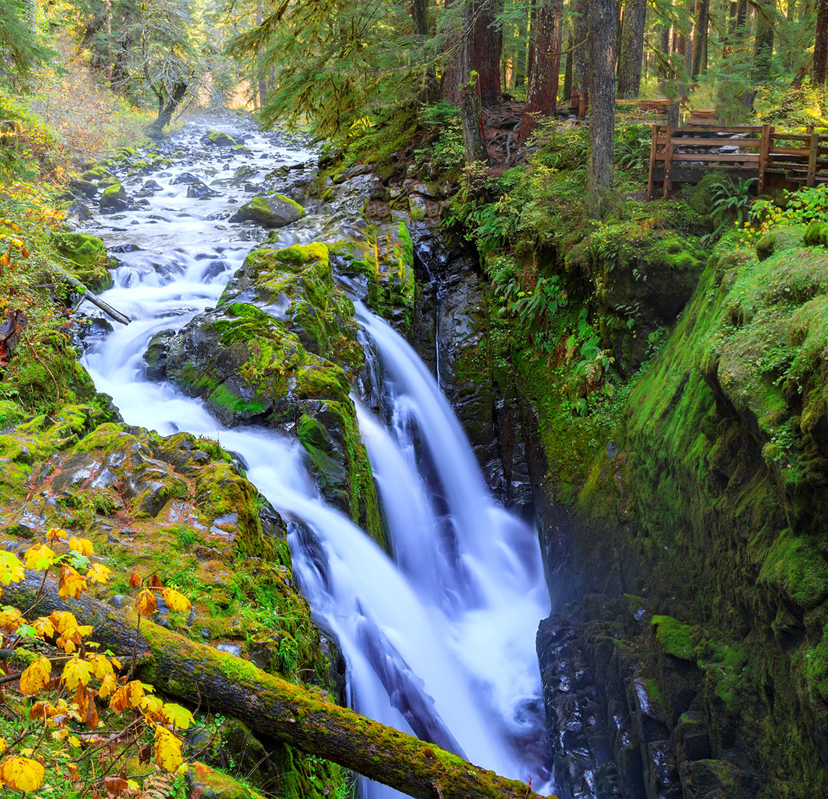 Sol Duc Falls Jigsaw Puzzle Sol duc falls jigsaw puzzle