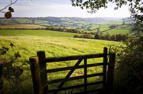 Somerset Fields Jigsaw Puzzle