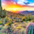 Sonoran Desert Jigsaw Puzzle
