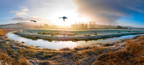 South Downs Park Jigsaw Puzzle