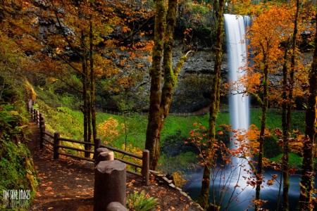 South Falls Jigsaw Puzzle