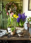 Spring Potting