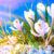 Spring Thaw Jigsaw Puzzle