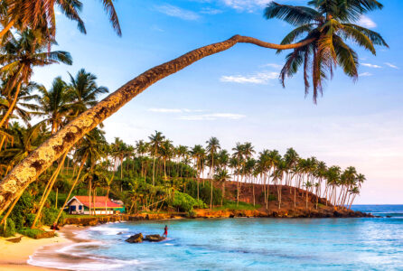 Sri Lanka Beach Jigsaw Puzzle