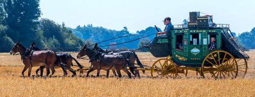 Stagecoach Run Jigsaw Puzzle