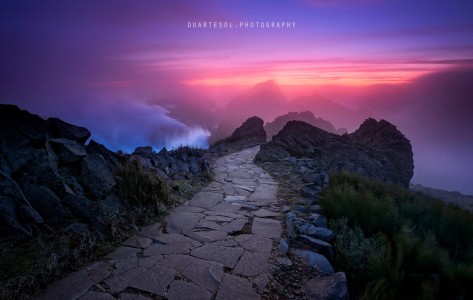 Stone Path Jigsaw Puzzle