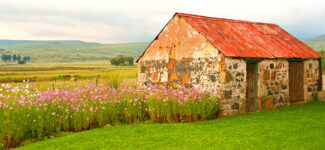 Stone Shed