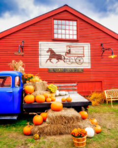 Store Pumpkins Jigsaw Puzzle