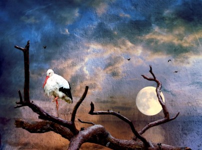 Stork and Moon Jigsaw Puzzle