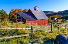 Stowe Barn