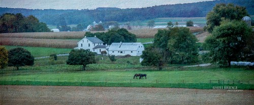 Strasburg Farm Jigsaw Puzzle