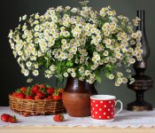 Strawberries and Daisies