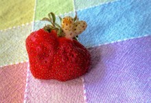 Strawberry