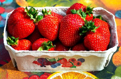 Strawberry Carton Jigsaw Puzzle