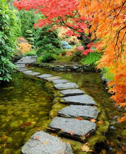 Stream Crossing Jigsaw Puzzle