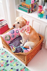 Stylish Dog Jigsaw Puzzle