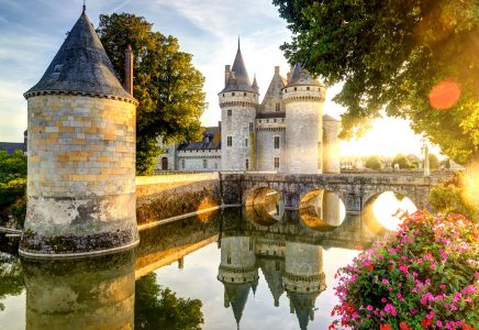 Sully-sur-Loire Castle Jigsaw Puzzle