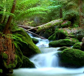 Šumava Park Jigsaw Puzzle