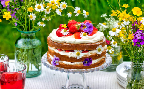 Summer Cake Jigsaw Puzzle