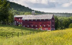 Summer Field Barn