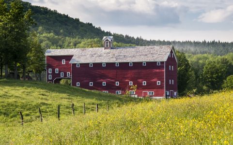 Summer Field Barn Jigsaw Puzzle