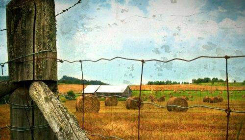 Summer Hay Jigsaw Puzzle