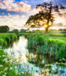 Summer Sunrise Jigsaw Puzzle