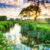 Summer Sunrise Jigsaw Puzzle