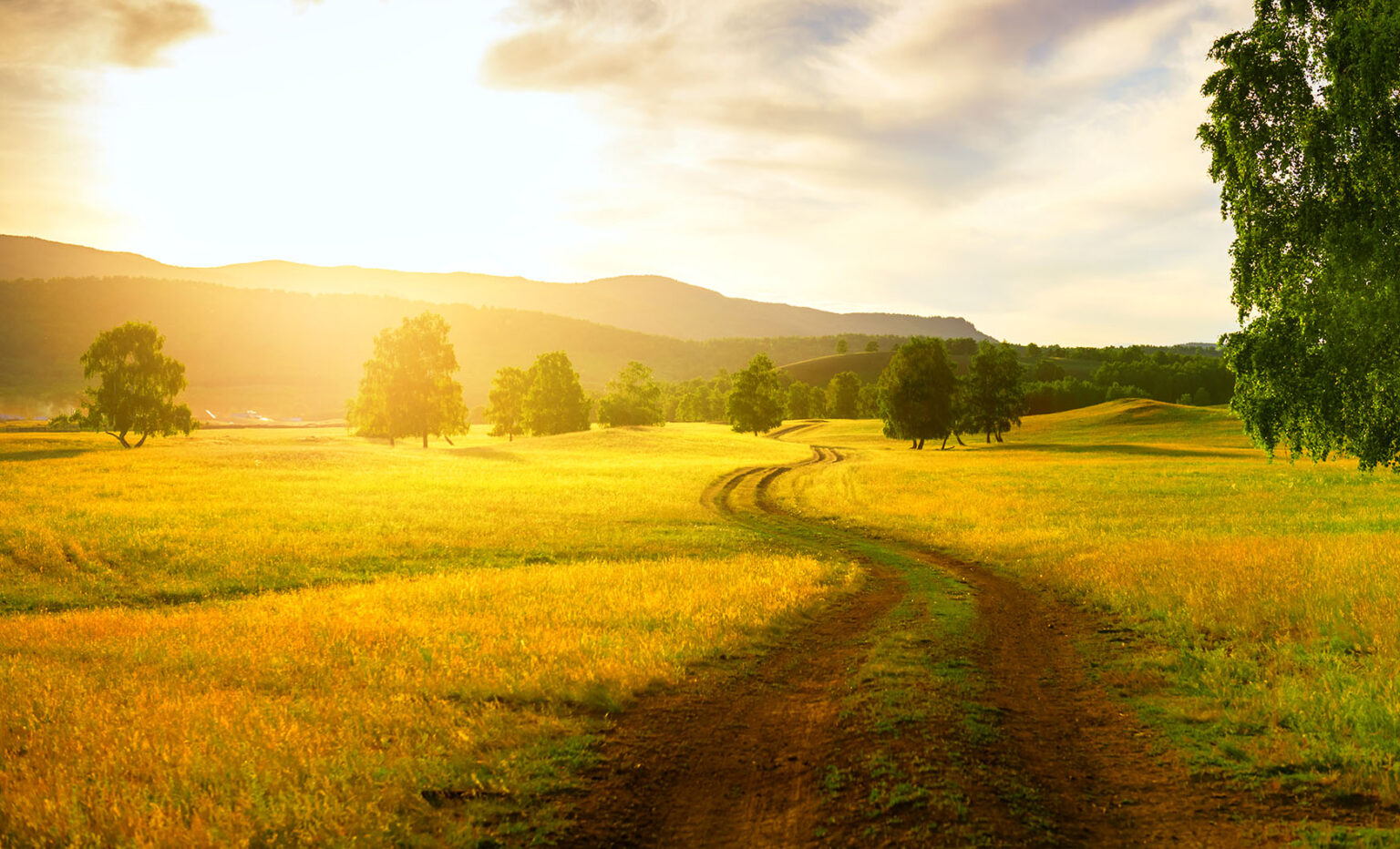 summer-sunset-jigsaw-puzzle