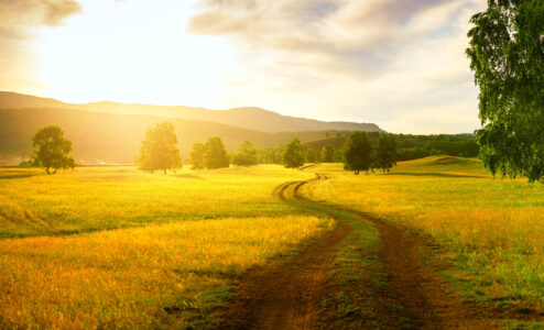 Summer Sunset Jigsaw Puzzle