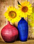 Sunflower Vases