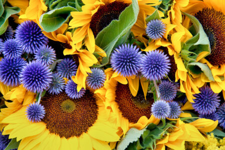 Sunflowers and Alliums Jigsaw Puzzle