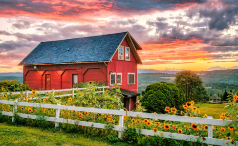 Sunflowers at Sunset Jigsaw Puzzle Sunflowers at Sunset Jigsaw Puzzle