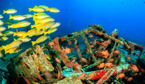 Sunken Wreck Jigsaw Puzzle