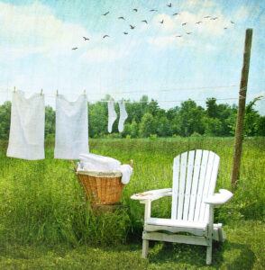 Sunny Laundry Jigsaw Puzzle